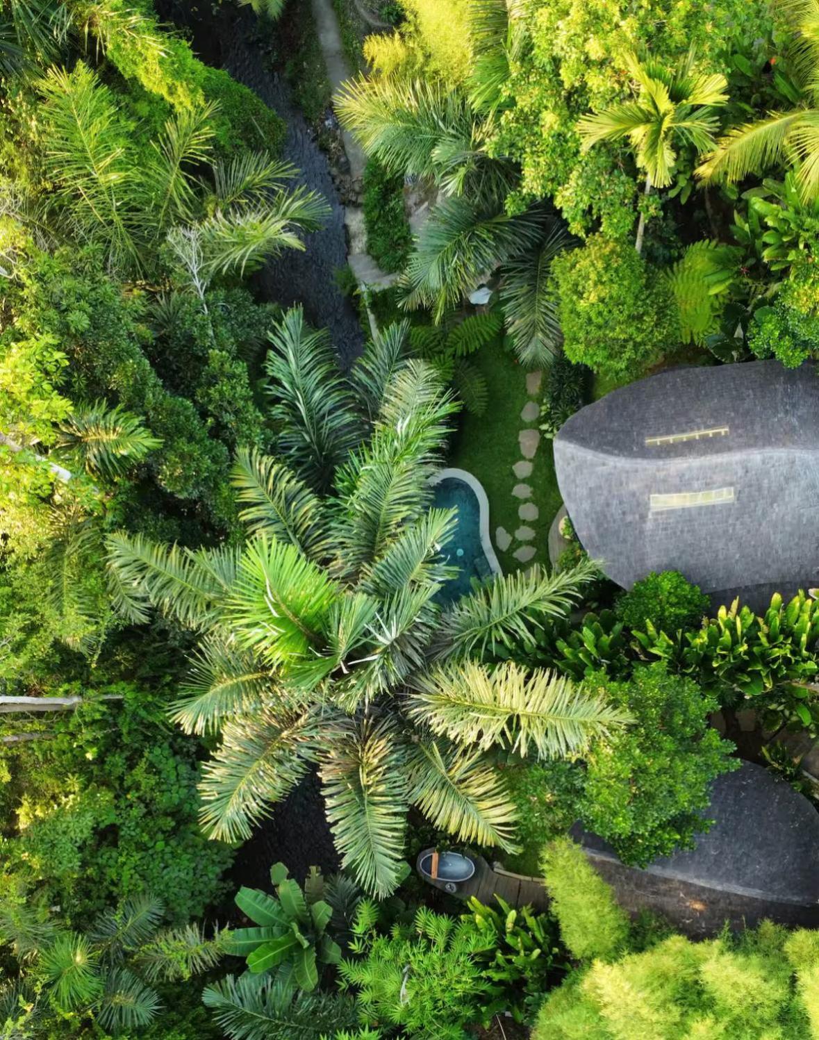 Wahem Eco Bamboo - Magical Bamboo House Ubud Bali别墅 外观 照片